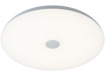 Потолочный светильник Норден 660012901