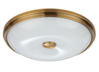 Потолочный светильник 4956/4