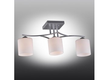 Потолочный светильник Pisticci OML-55307-03