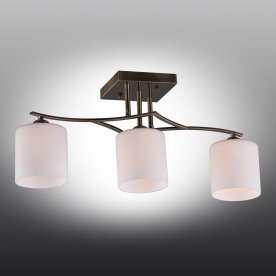 Потолочный светильник Pisticci OML-55317-03