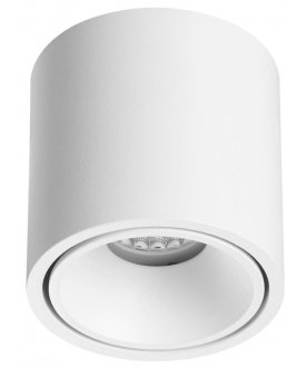 Потолочный светильник 6620/10CL