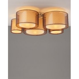 Потолочный светильник V10624-5C