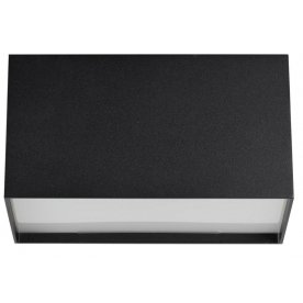 Потолочный светильник 4233/20CL