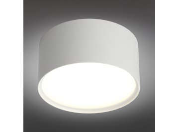 Диодный потолочный светильник Salentino OML-100909-12