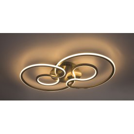 Потолочный светильник Sofia 67093-40