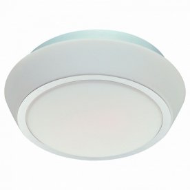 Потолочный светильник Bagno SL496.502.03