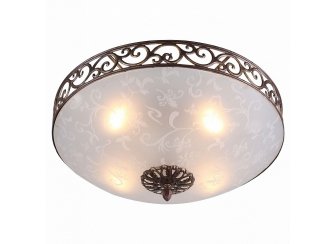 Потолочный светильник SL244.202.04