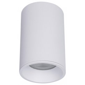 Потолочный светильник C029CL-01-S-W