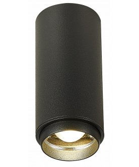 Потолочный светильник ST600.442.10