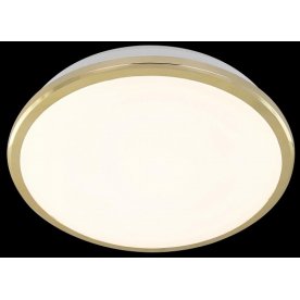 Потолочный светодиодный светильник Луна CL702162W