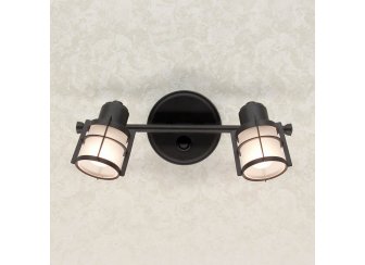 Спот Реймс CL563521