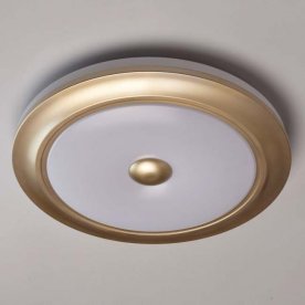 Потолочный светильник Энигма 688010301