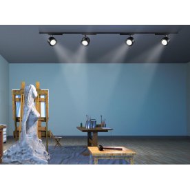 Трековый светильник Pirum 358433