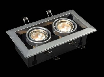 Встраиваемый светильник Metal Modern DL008-2-02-S