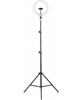 Торшер KD-810F