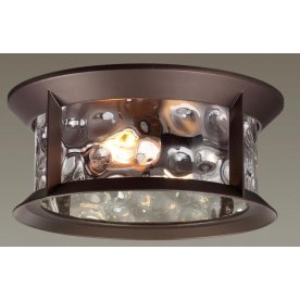 Уличный потолочный светильник 4961/2C