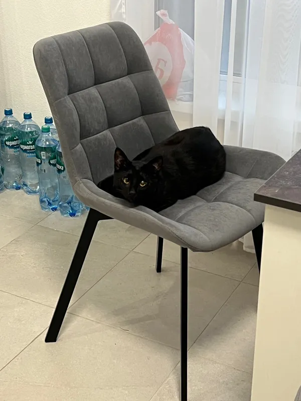 Комплект стульев Стронг 4 шт темно-серый / черный фото покупателя 93