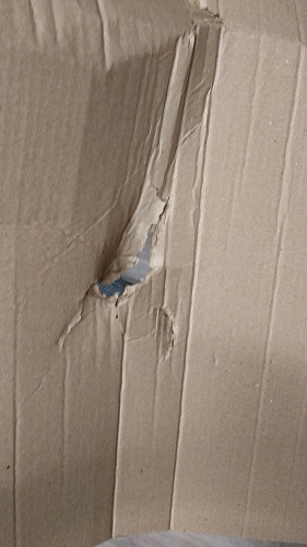 Стул на металлокаркасе Чилли К светло-серый велюр / черный каркас фото покупателя 1499