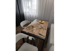 Стол Центавр 120(160)х70х75 файерстоун / черный матовый фото покупателя 42