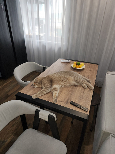 Стол Центавр бетон / графит фото покупателя 42