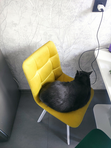 Стул на металлокаркасе Чилли синяя ткань / белый фото покупателя 1362