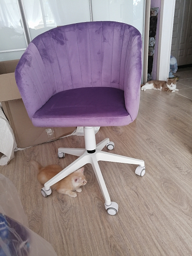 Компьютерное кресло Тибо сиреневый фото покупателя 41