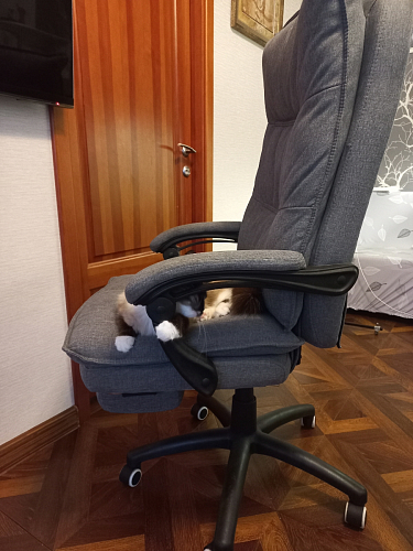 Компьютерное кресло Rapid голубое фото покупателя 214