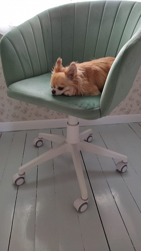 Компьютерное кресло Тибо confetti chocolate / белый фото покупателя 55