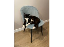 Стул на металлокаркасе Gabi blue / black фото покупателя 325