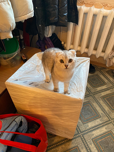 Стул на металлокаркасе Gabi 1 beige / black фото покупателя 756