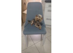 Стул на металлокаркасе Kora gray / black фото покупателя 157