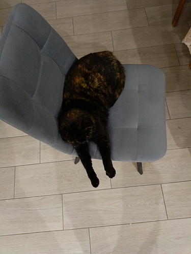 Стул на металлокаркасе Чилли К светло-серый велюр / черный каркас фото покупателя 527