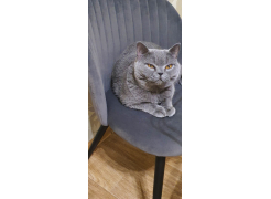 Стул на металлокаркасе Gabi 1 light blue / black фото покупателя 30