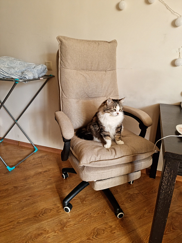 Компьютерное кресло Rapid голубое фото покупателя 34