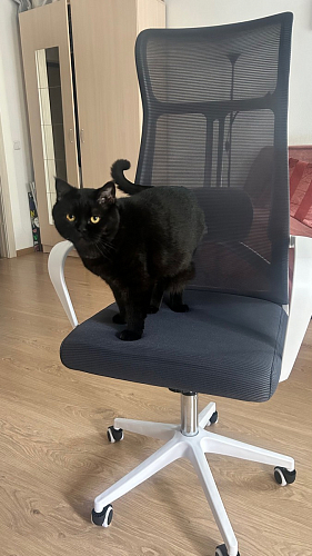 Компьютерное кресло Tilda темно-серый / бежевый / белый фото покупателя 8