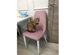 Стул на металлокаркасе Kora gray / black фото покупателя 418