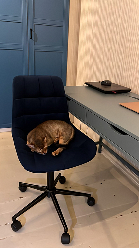 Компьютерное кресло Честер розовый (california 390) / черный фото покупателя 14