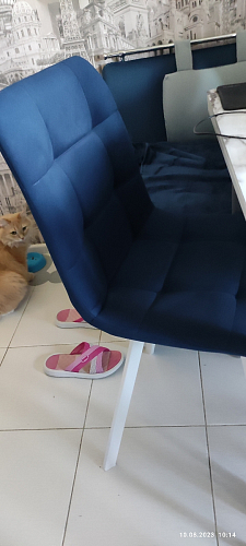 Стул на металлокаркасе Чилли темно-серый / черный каркас фото покупателя 101