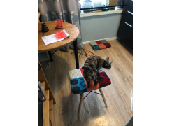 Табурет Ben Multicolor фото покупателя 22