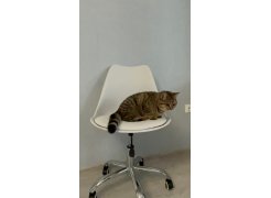 Компьютерное кресло Kolin с подушкой clear / white фото покупателя 316