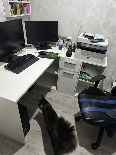 Письменный стол Лайт 03.245F белый гладкий 101 фото покупателя 167