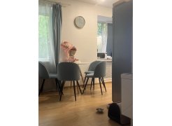 Стул на металлокаркасе Gabi green / black фото покупателя 126