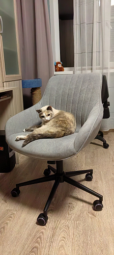 Компьютерное кресло Dublin горчичный фото покупателя 19