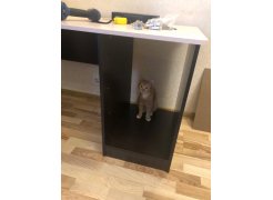 Стол письменный СП4 венге / дуб молочный фото покупателя 11