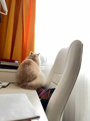 Компьютерное кресло Aragon dark grey фото покупателя 163