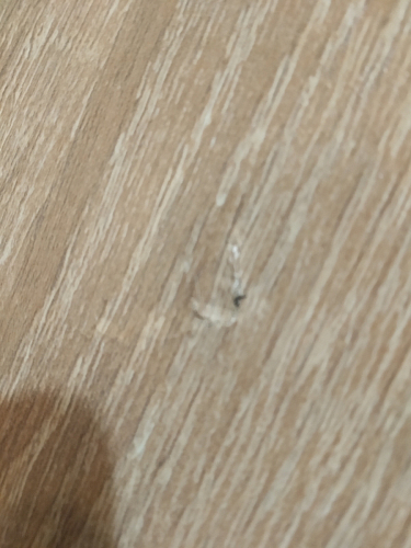 Стол письменный Kiwi дуб сонома фото покупателя 100