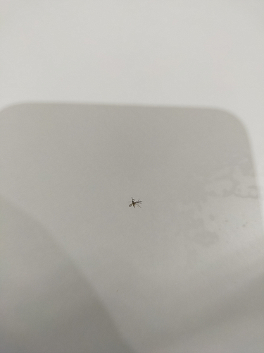 Стол письменный СП2 венге фото покупателя 2