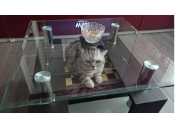 Журнальный столик CT1-052 white фото покупателя 1