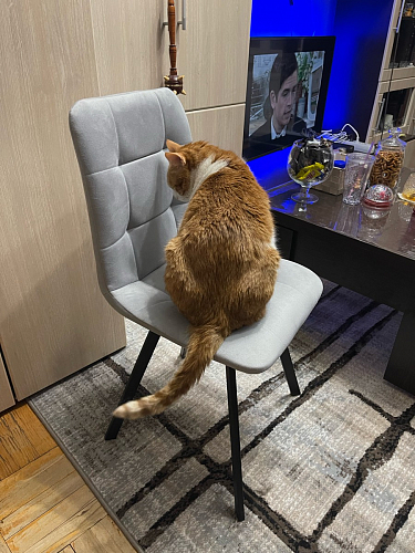 Стул на металлокаркасе Чилли зеленый / черный фото покупателя 710