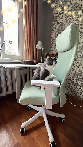 Компьютерное кресло Salta gray / white фото покупателя 22